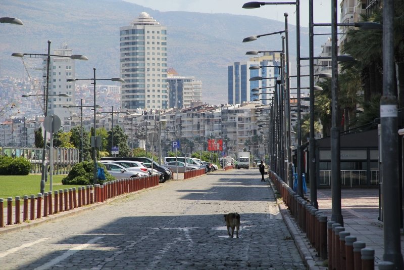 İzmir’de sokaklar boş kaldı, körfezde deniz canlıları gün yüzüne çıktı