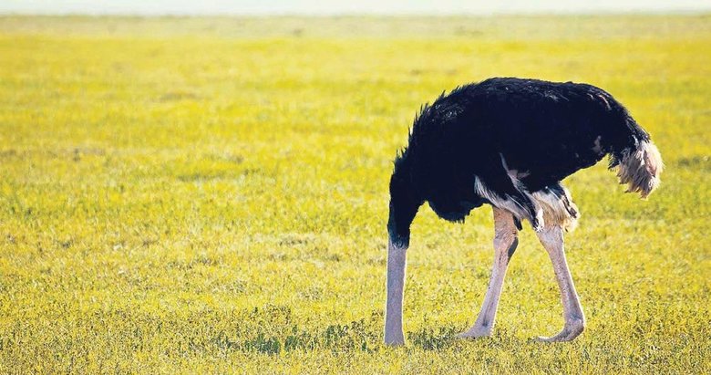 Toksik pozitiflik: ‘Devekuşu etkisi’
