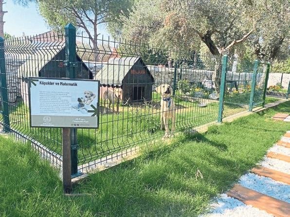 Harabe okuldan bilim mucizesine