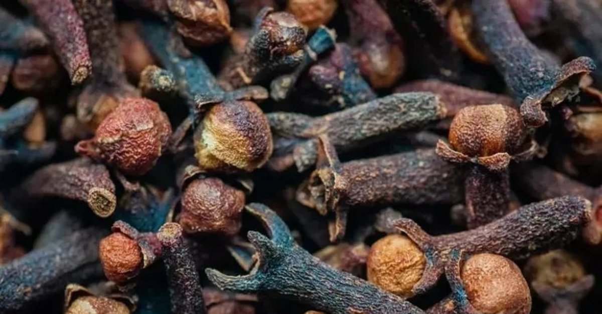 Suyunuzun içine atın farkı görün! Karanfil ve suyun mucize gücü: Sonuca inanamayacaksınız!