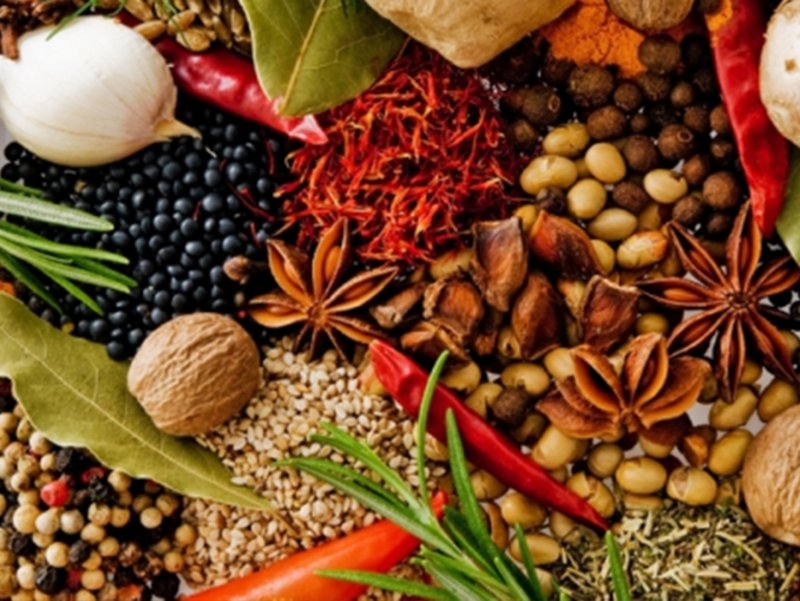 Bu Bitkiler Bagisiklik Sistemini Guclendiriyor Yasam Haberleri