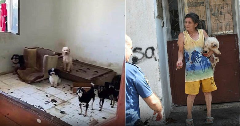 İzmir’de eziyet evi: Ekipler 47 köpeği kurtardı