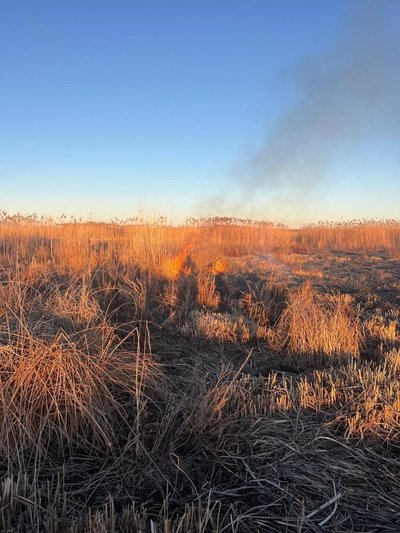 Eber Gölü’nü yakmaya çalışanlara 5 milyonluk ceza