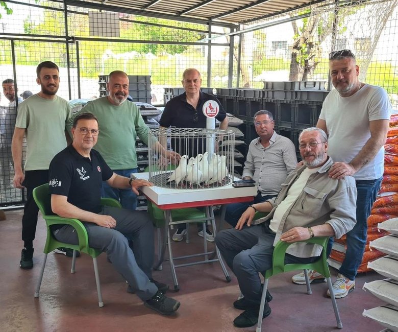 Azman güvercinler Denizli’de güzellikleriyle yarıştı