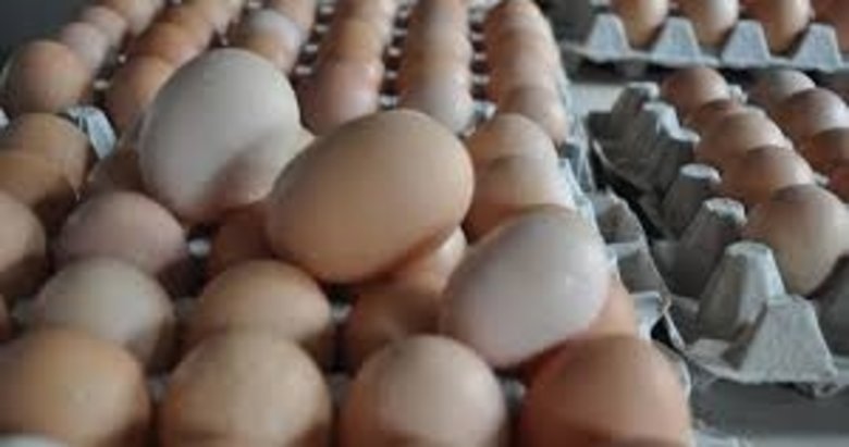 Yumurta üretiminde zirve Torbalı’nın