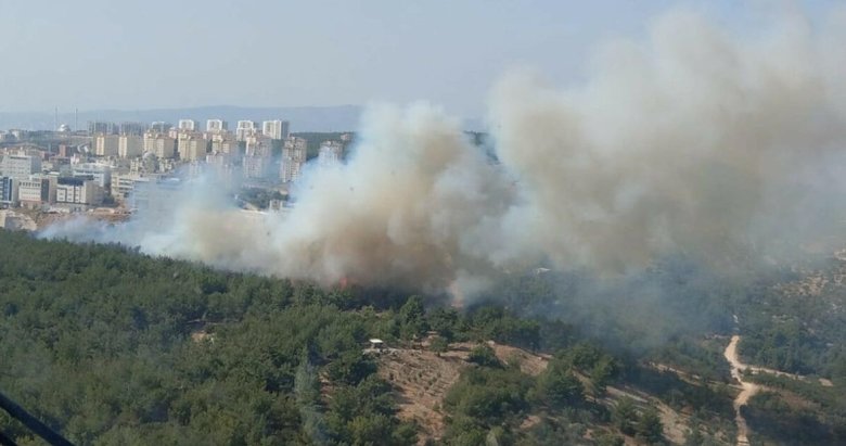 İzmir’de ormanlık alanda yangın!