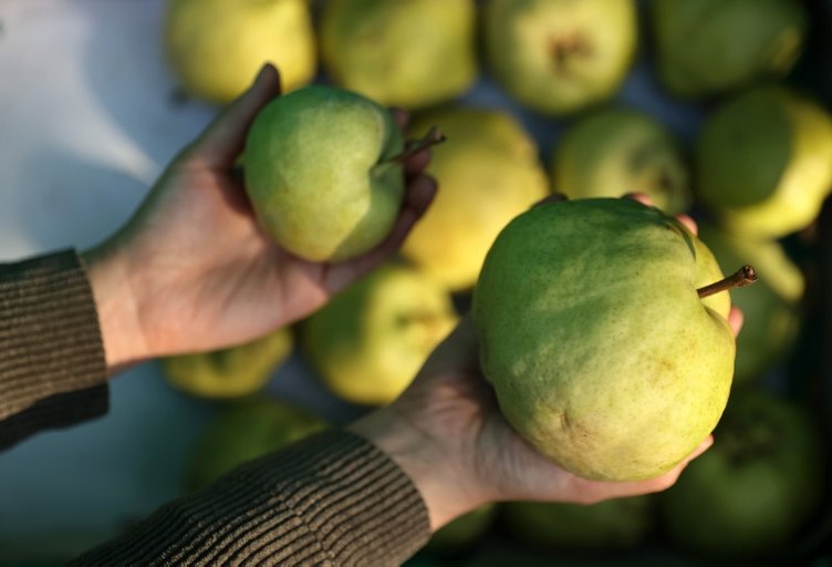 Armudun kabuğunu çöpe atmayın: Kullanın!
