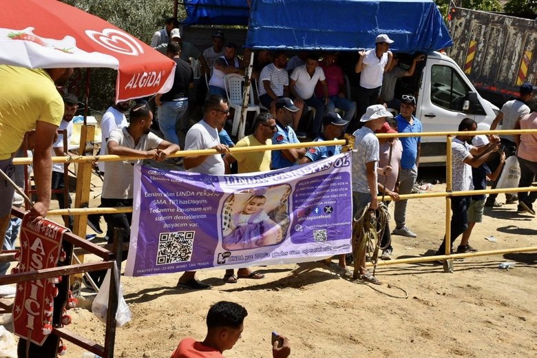 Aydın’da boğalar, SMA’lı Linda bebek için güreşti