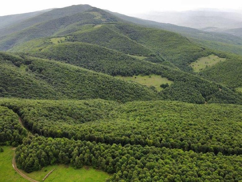 Muğla’da kritik kararlar! 31 Ekim’e kadar yasak