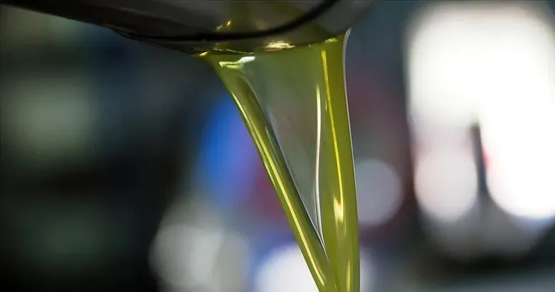 Zeytin ve zeytinyağı sektörü masaya yatırıldı