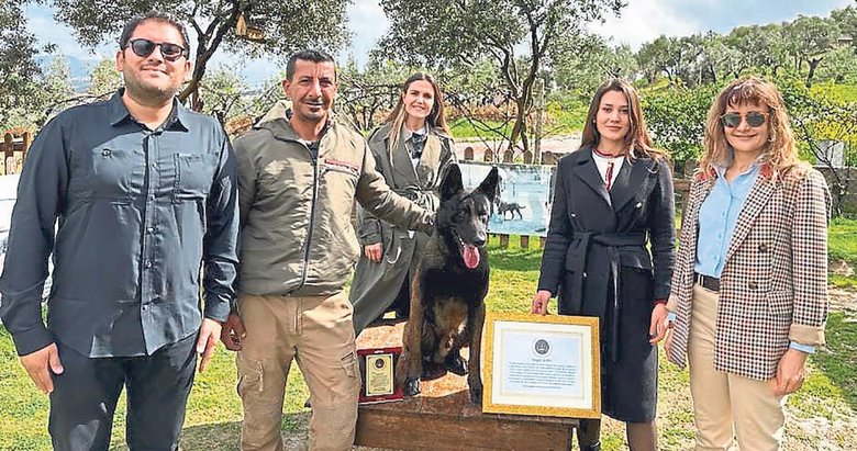 Barınağa gitmekten kurtulan Alfa onlarca can kurtardı