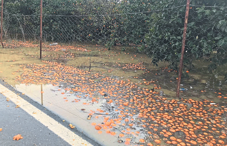 ‘Seferihisar battı başkan neredesin?’