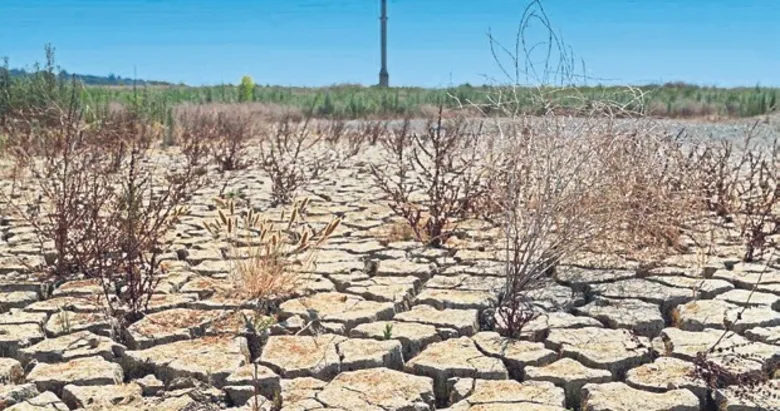 ‘2050’de beklediğimiz sıcaklıkları 2025’te yaşadık’