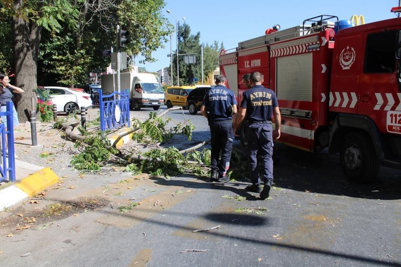 Rüzgarda kopan dal az daha canından ediyordu