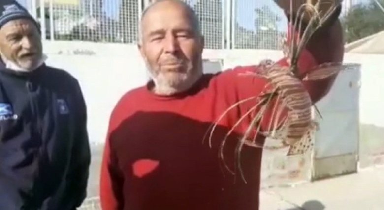 Dünyanın en zehirli balıklarından! Kuşadası’nda yakalandı