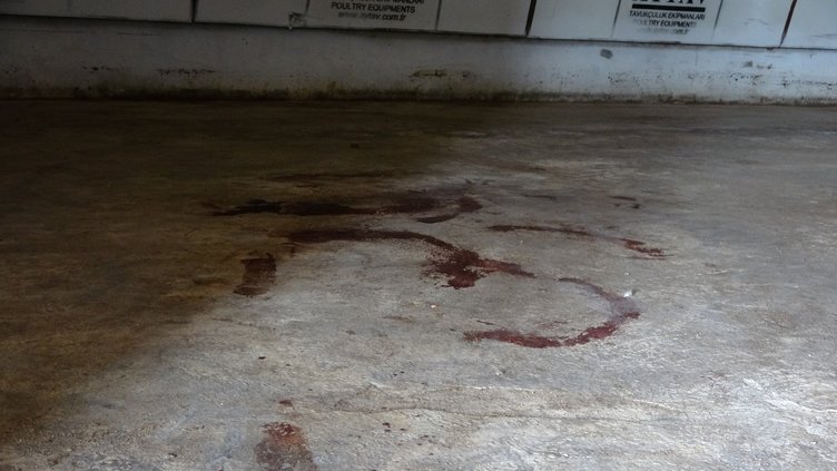 Çanakkale’de kan donduran cinayet! Başına kürekle vurdu gözlerini oydu