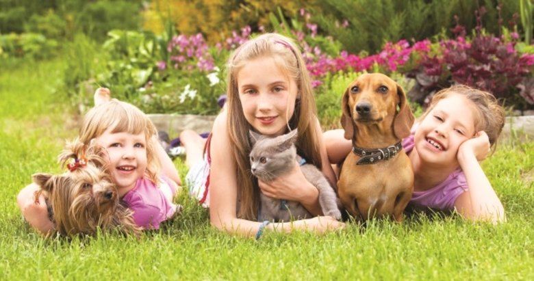 Patili dostları tehlikeye atan yanlış bilgiler