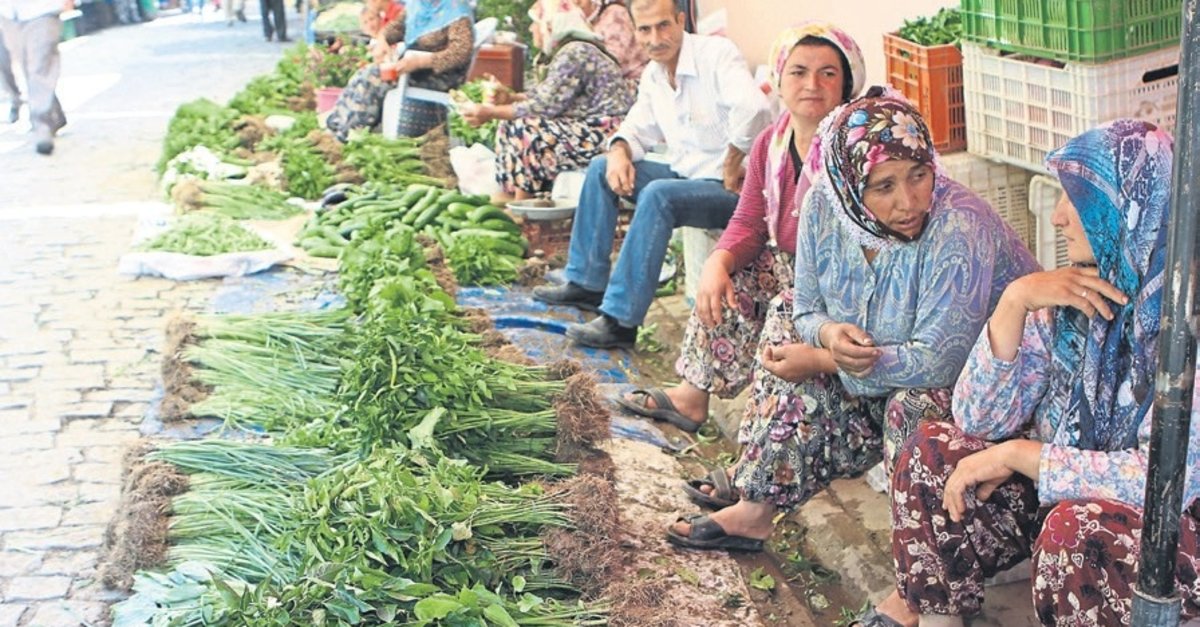 Ege’nin sırrı şifalı otlar! Pazar sofralarını süslüyor…