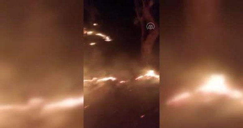 Manisa’da Spil Dağı Milli Parkı’nda orman yangını! Kundaklama şüphesi...