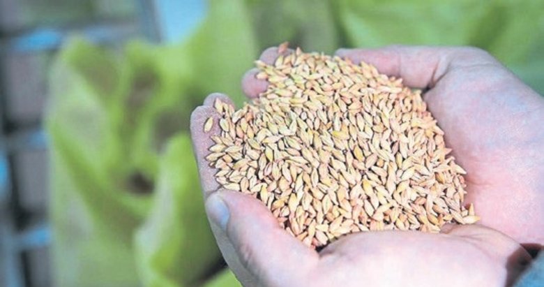 Yulaf ithalatında gümrük vergisine indirim getirildi