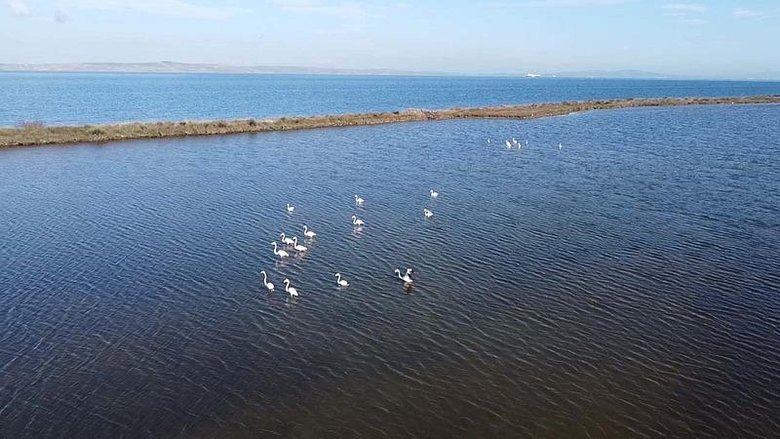 Çanakkale’de ortaya çıktı: İklim değişikliğinin bu etkisini kimse böyle beklemiyordu!