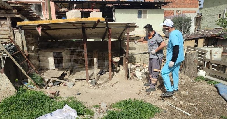 Metruk binada pitbull besleyen kişiye şok ceza