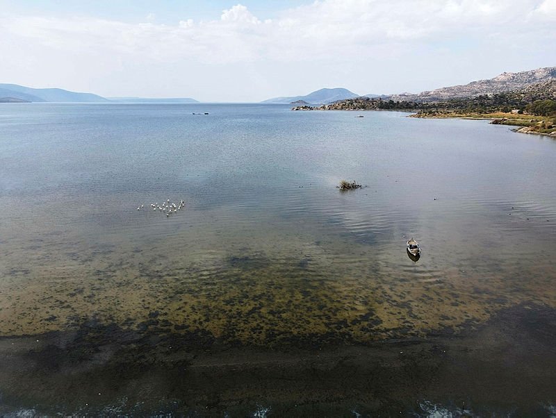 Kuş Cenneti Bafa Gölü’nde korkutan görüntü!