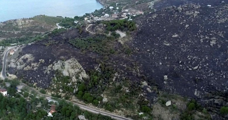 Marmara Adası’ndaki yangında bir kişi gözaltına alındı