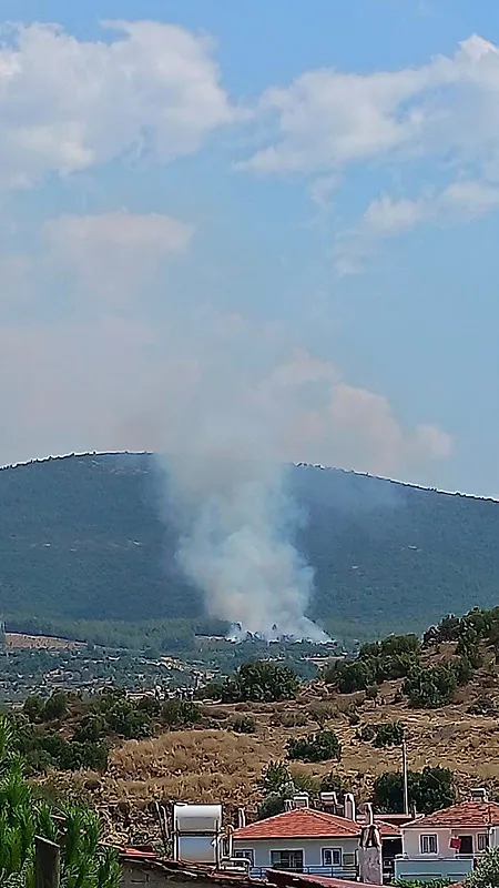 son-dakika-muglada-korkutan-orman-yangini-1785849132055.png