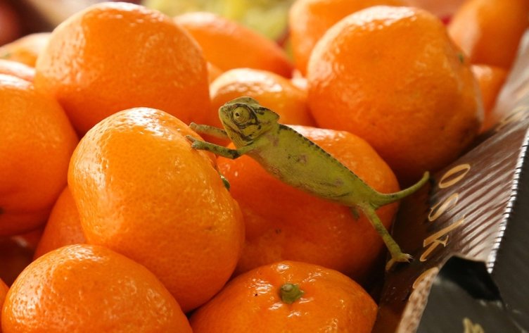 Günde 2 taneden fazla mandalina yemek tahmininizden daha zararlı