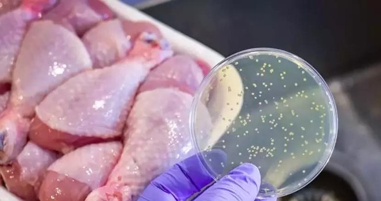 İzmir’de 271 ton güvensiz tavuk ürünü ele geçirildi