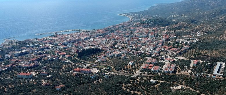 Kazdağları’nda imar skandalı! Villa yapımı için 2,5 milyon zeytin ağacı kesildi