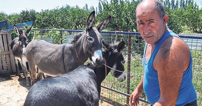 Kanser Hastalarina Bedava Esek Sutu Yasam Haberleri