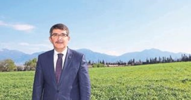 Şehzadeler Belediyesi 50 dönüme buğday ekti