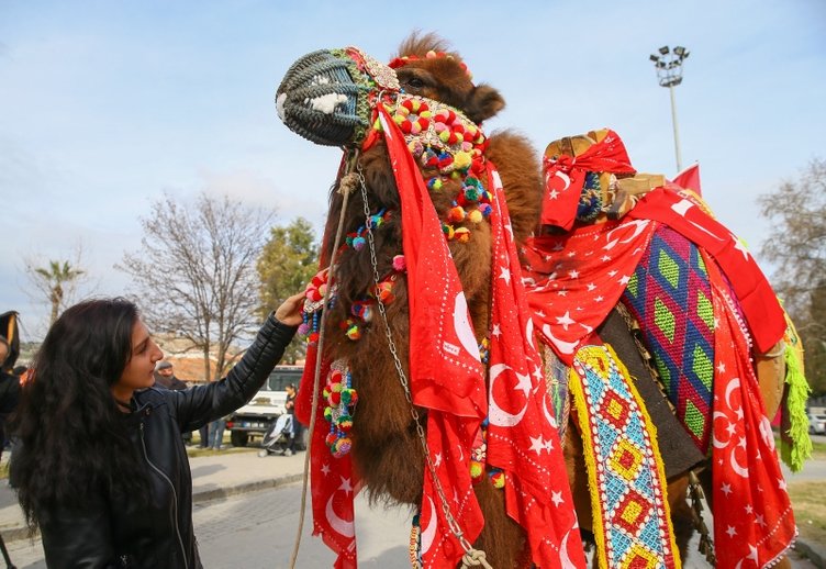 İzmir’de en güzel deve seçildi