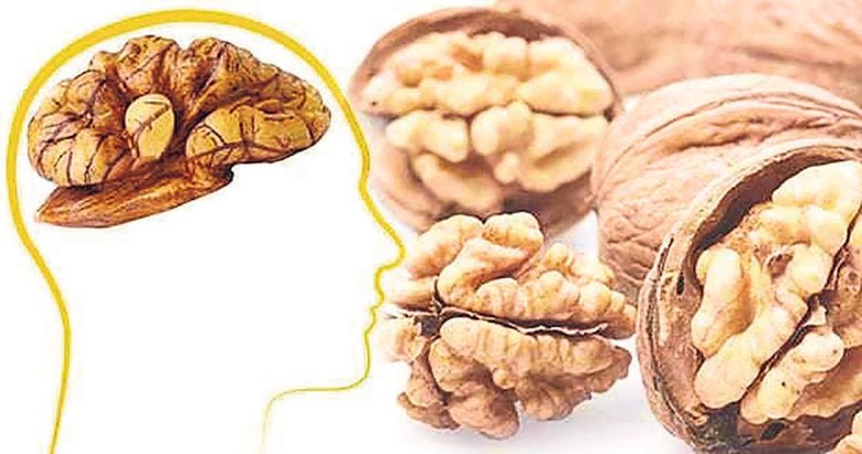 Benzediği organa fayda sağlayan besinler