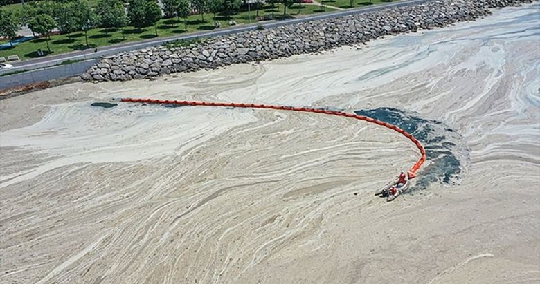 Deniz salyası olan bölgeden balık yenir mi? Uzman isimden açıklama