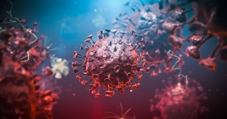 Koronavirüs bitmeden Çin’de yeni bir virüs ortaya çıktı!