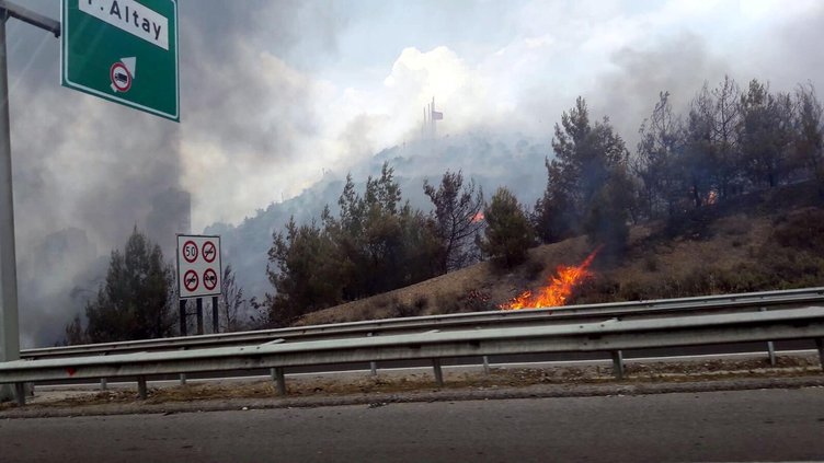 İzmir’de zeytinlik alanda yangın