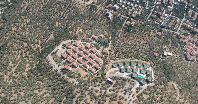 Kazdağları’nda imar skandalı! Villa yapımı için 2,5 milyon zeytin ağacı kesildi