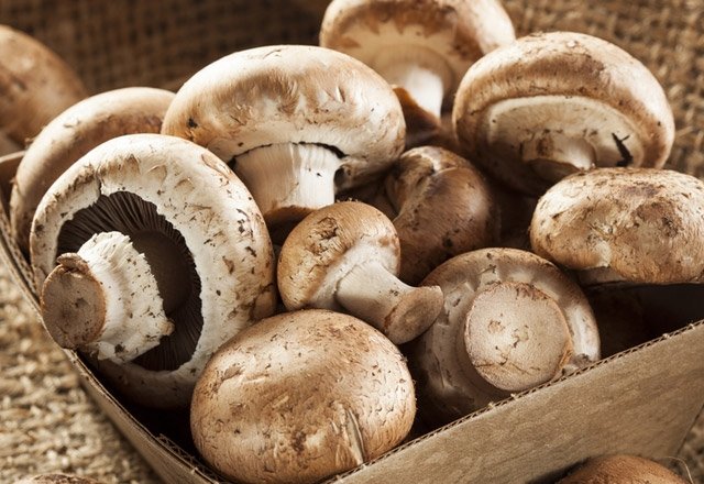 Sağlık Bakanlığı’ndan mantar zehirlenmelerine karşı uyarı