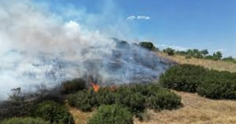Manisa’daki korkutan yangın kontrol altına alındı