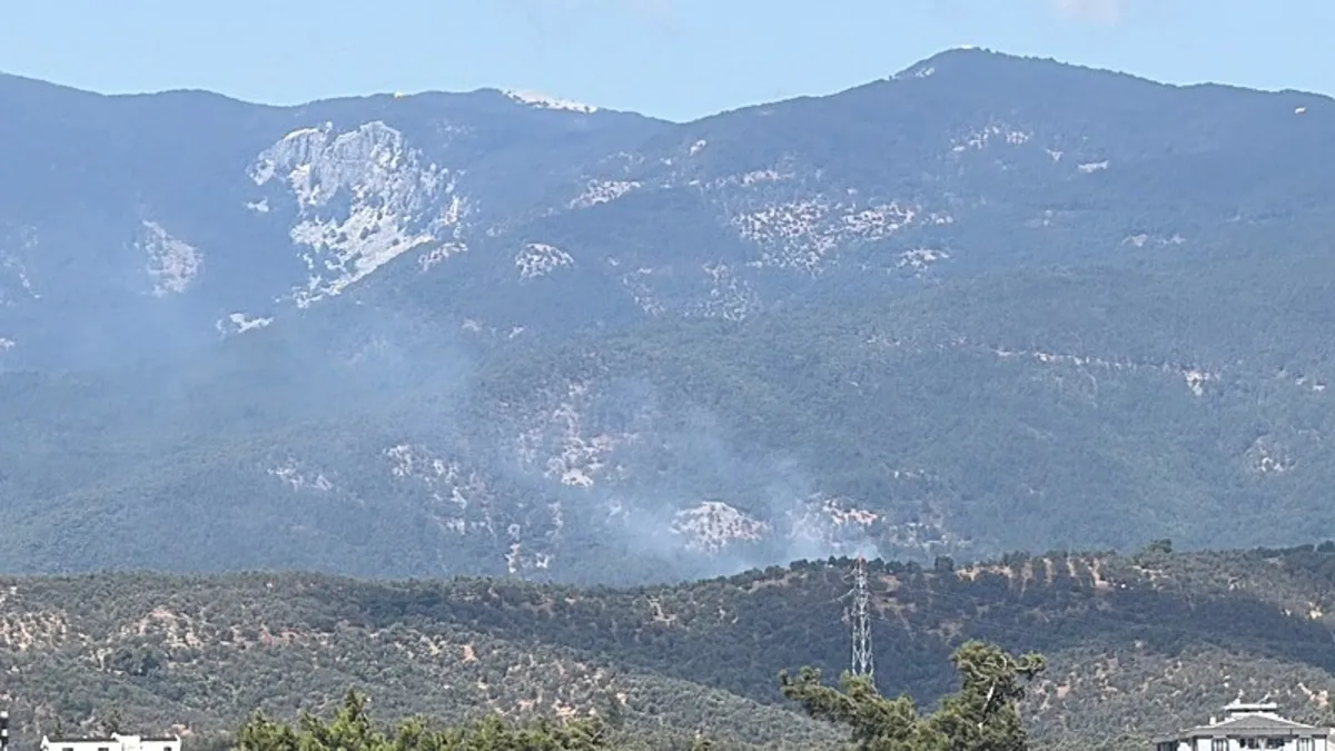 Balıkesir'de korkutan orman yangını