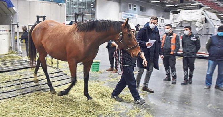 THY 63 atı ABD’den Türkiye’ye uçurdu