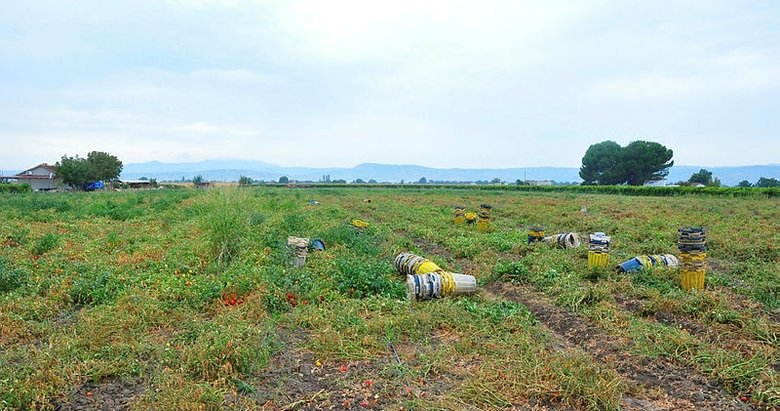 Manisa’da şiddetli yağmur ekili alanları vurdu