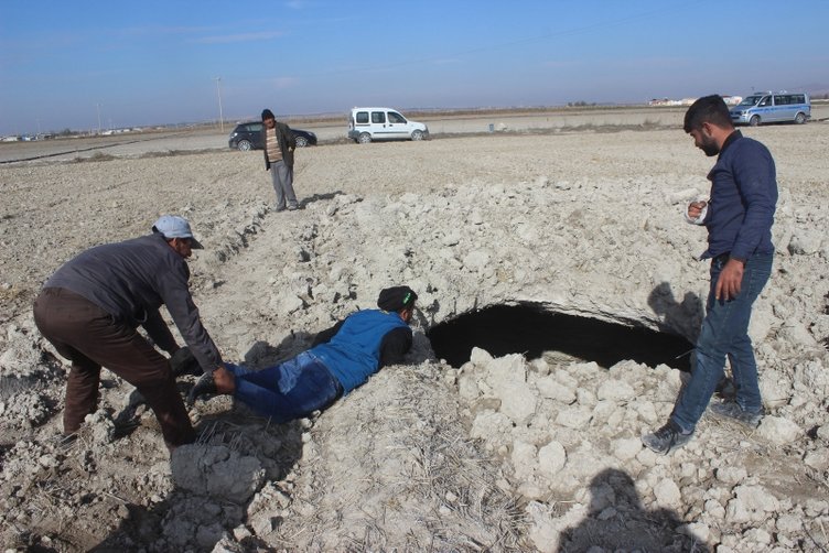 Korkutan görüntü! Tarlada çalışırken fark etti