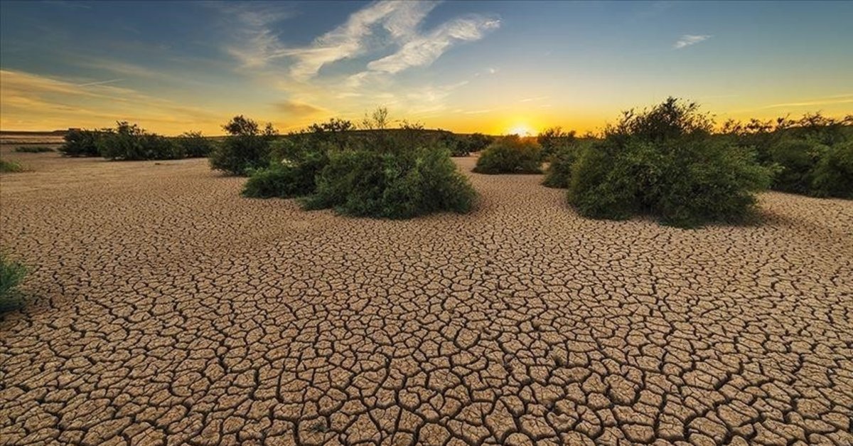 İklim krizi inkarını mercek altına alacak