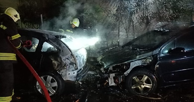 Yıldırım düşen ağacın altındaki 2 otomobil alev aldı