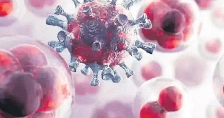 Türkiye’de yılda 240 bin kişi kansere yakalanıyor