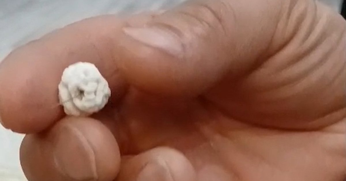 Son anda fark etti! Leblebinin içinden öyle bir şey çıktı ki…